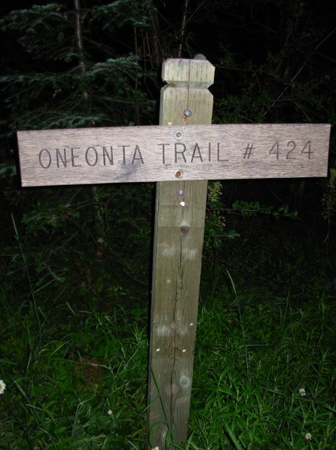 7.25.06 Larch Mountain 026 